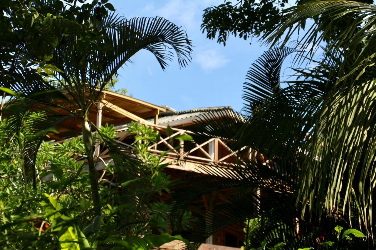 Eden Jungle Lodge Bocas del Toro Exterior photo