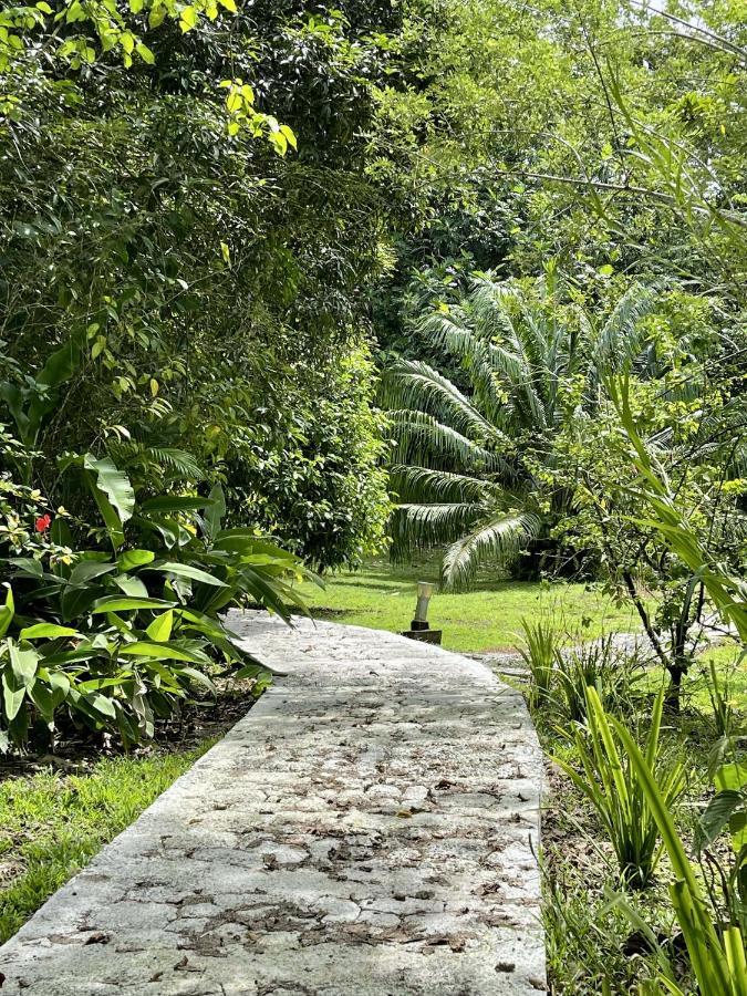Eden Jungle Lodge Bocas del Toro Exterior photo