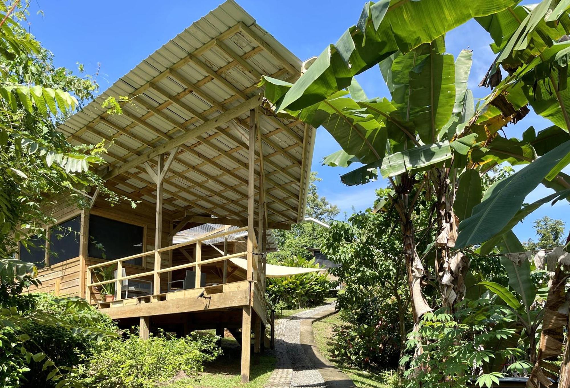 Eden Jungle Lodge Bocas del Toro Exterior photo